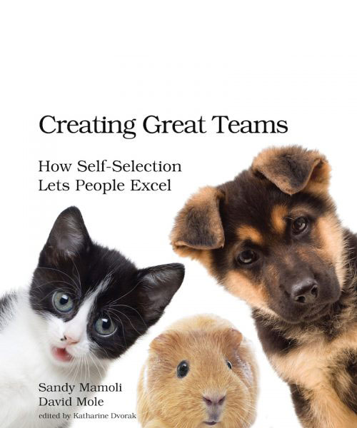 Creating Great Teams